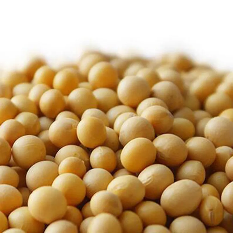 Соевые бобы (2)