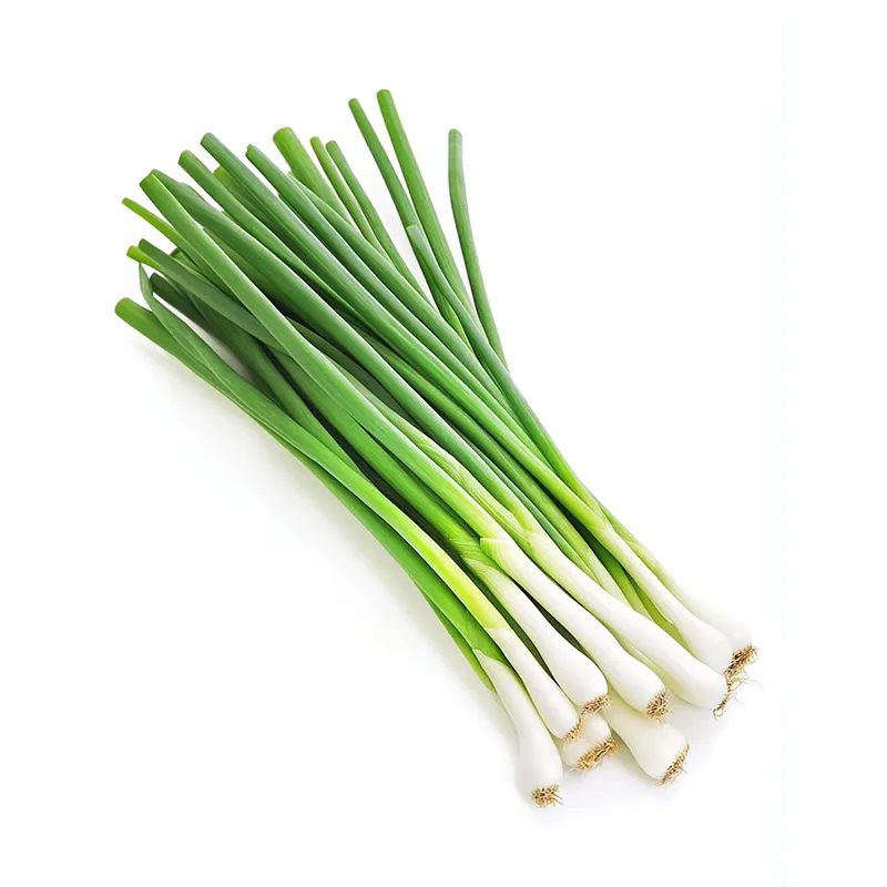 Зелёный лук