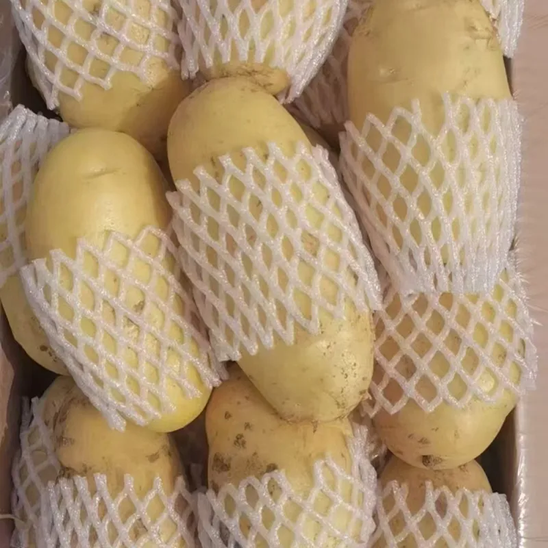 Картофель (1)