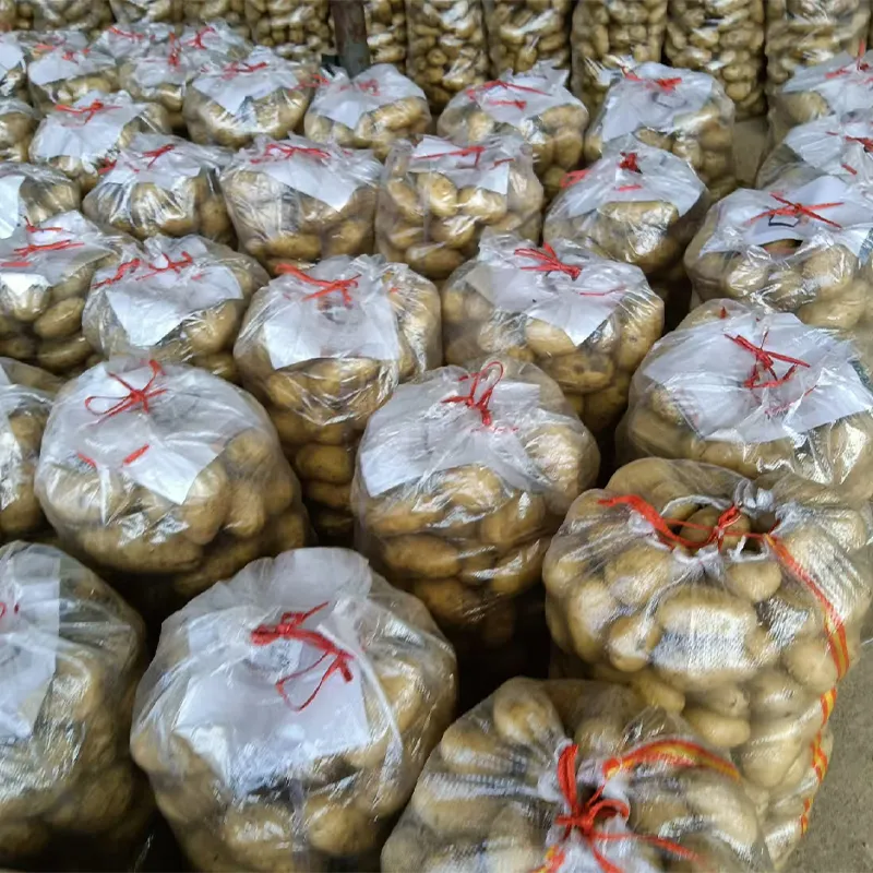 Картофель (3)