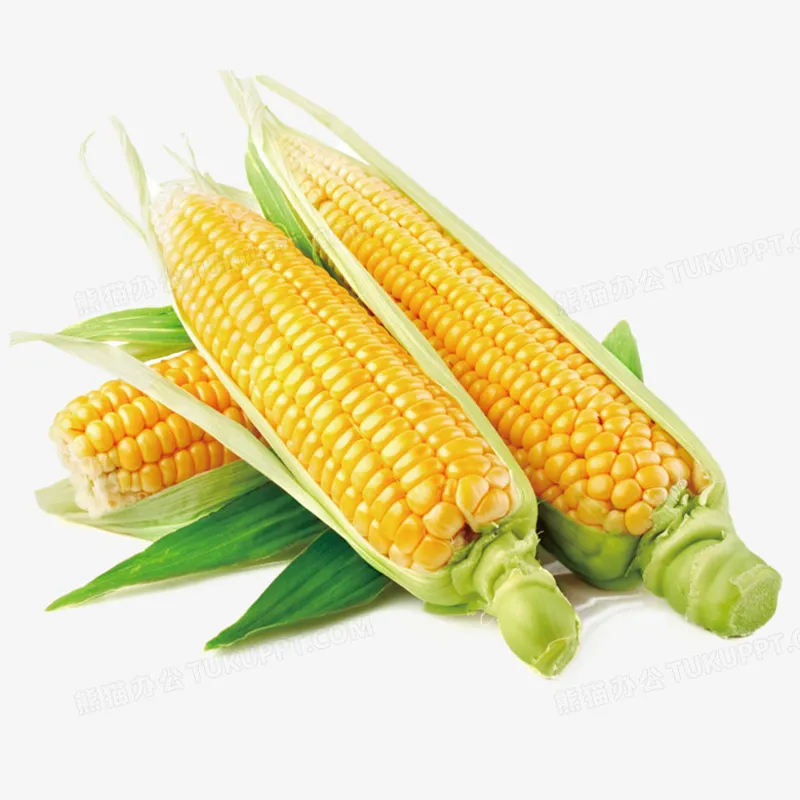 Кукуруза